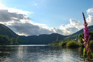 Vakantiehuis Duitsland met hond
