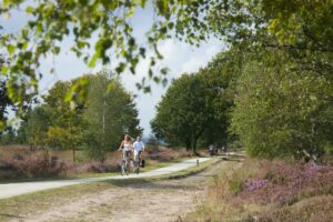 Vakantiepark bij de Sallandse Heuvelrug