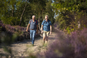 Vakantiepark op de Sallandse Heuvelrug