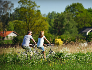 Samen genieten op ons huisdiervriendelijke vakantiepark